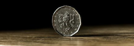 V příštím roce si koruna připíše další zisky