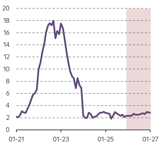 Očekávaný vývoj inflace (r/r)