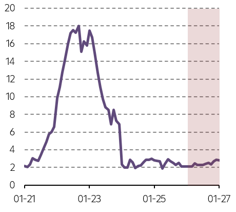 Očekávaný vývoj inflace (r/r)